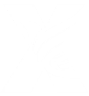 Hangzhou  XingHeMei  Διαβολάκι.  &  Exp.  Co., Ltd